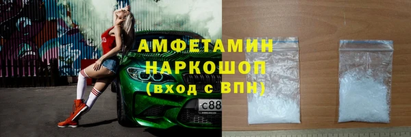 PSILOCYBIN Каменка