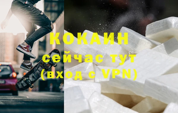 PSILOCYBIN Каменка