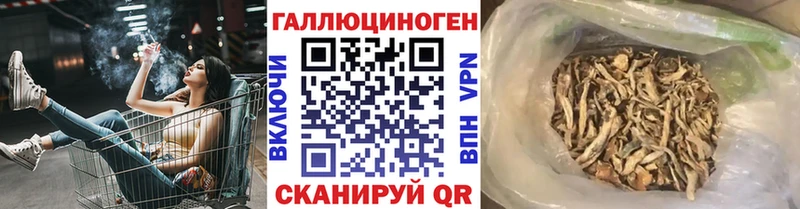 Галлюциногенные грибы GOLDEN TEACHER Ельня