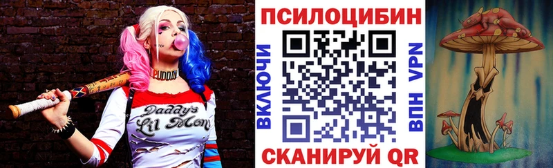 Купить где  Ельня  Псилоцибиновые грибы Psilocybe 